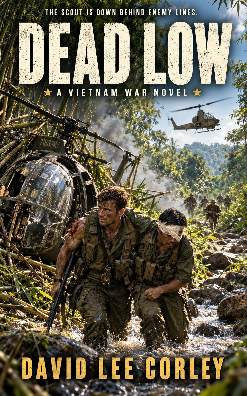 Dead Low ebook cover