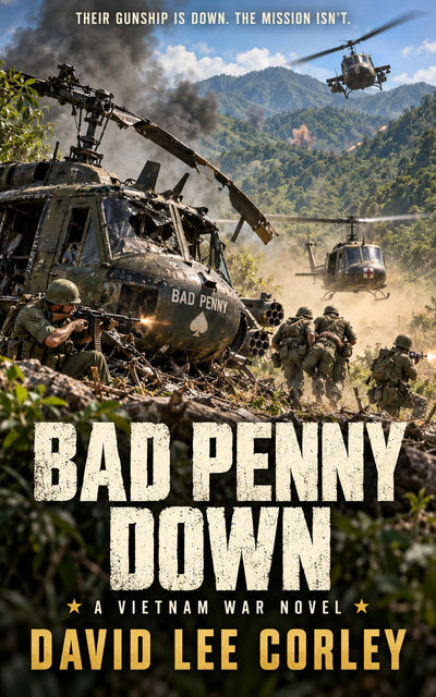Bad Penny Down (Gunship Book 4)