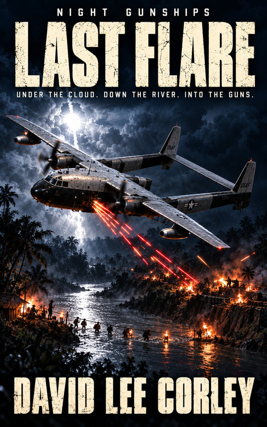 Last Flare (Night Gunships Book 4) ebook cover